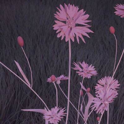 博鱼综合体育官方网站入口