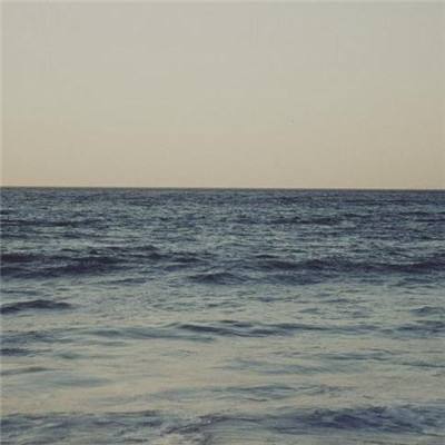 beat365官方最新版截图